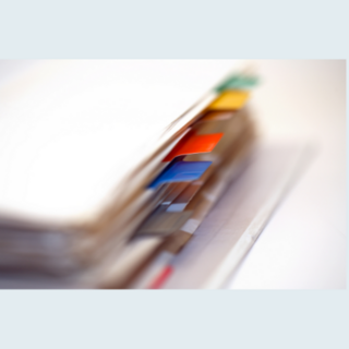 Ring Binder Dividers NZ | Tab Dividers, PP & Cardboard Indices | Insi