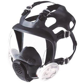 FS01 Full Face Mask - M