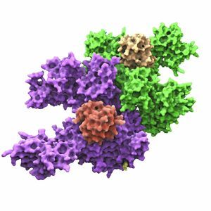 How Enzyme Cleaners Work